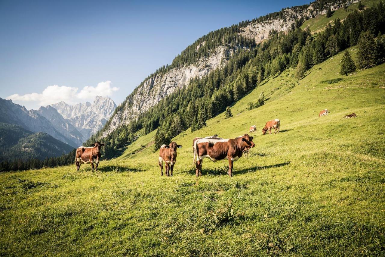 Ferienwohnung Im Gaestehaus Sieger-Brandner Ramsau bei Berchtesgaden Bagian luar foto